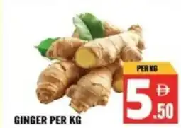 Dream Land Center Ginger offer