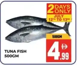 Dream Land Center Tuna fish offer