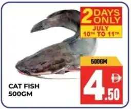 Dream Land Center Cat fish offer