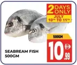 Dream Land Center Seabream fish offer