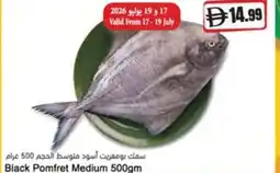 Almaya supermarket Black pomfret medium offer