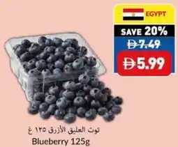 Viva Blueberry offer