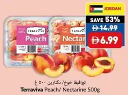 Viva Terraviva Peach / Nectarine offer