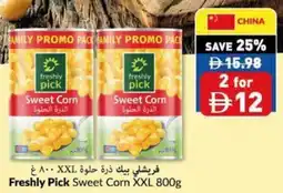 Viva Freshly Pick Sweet Corn XXL offer