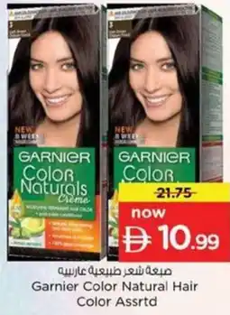 Nesto Garnier Color Natural Hair Color Assrtd offer