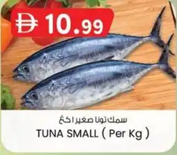KM Trading Tuna small offer