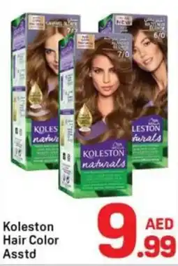Day To Day Koleston hair color offer