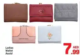 Day To Day Ladies wallet asstd offer