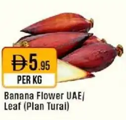 West Zone Supermarket Banana Flower UAE/ Leaf (Plan Turai) offer