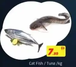 AIKO HYPERMARKET Cat Fish/Tuna offer