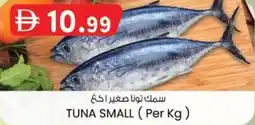 KM Trading Tuna small offer
