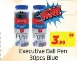 AIKO HYPERMARKET Executive Ball Pen Blue offer