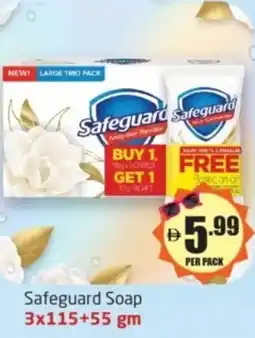 Delta Centre Safeguard Soap offer