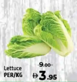Al Hoot Lettuce offer