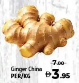 Al Hoot Ginger China offer