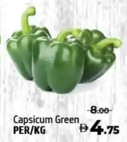 Al Hoot Capsicum Green offer