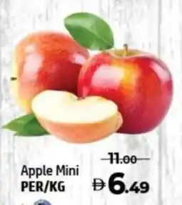 Al Hoot Apple Mini offer