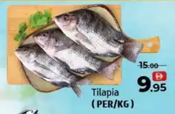 Al Hoot Tilapia offer