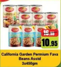 Al Hoot California Garden Permium Fava Beans Asstd offer