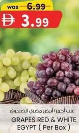 KM Trading Grapes red & white egypt offer