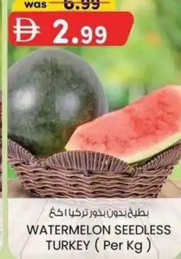 KM Trading Watermelon seedless turkey offer