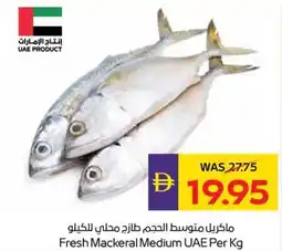 Abu Dhabi Coop Fresh mackeral medium offer