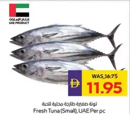 Abu Dhabi Coop Fresh tuna (small) offer