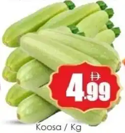 Amber Koosa offer