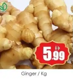 Amber Ginger offer