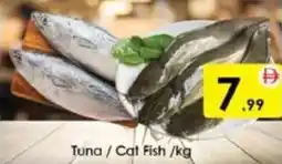AIKO HYPERMARKET Tuna/Cat Fish offer