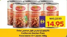Abu Dhabi Coop California garden plain fava beans 5+1 packs offer