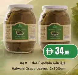 Istanbul Supermarket Halwani Grape Leaves offer