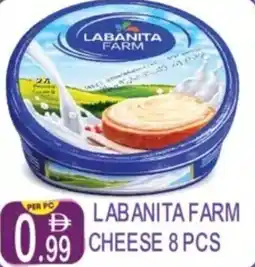Dream Land Center Labanita farm cheese offer