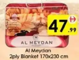 AIKO HYPERMARKET Al Meydan 2ply Blanket 170x230 cm offer