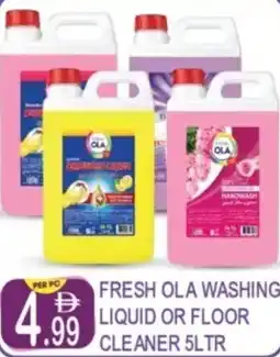 Dream Land Center Fresh ola washing liquid or floor cleaner offer