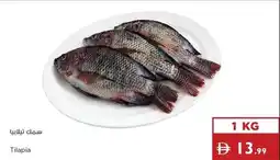Istanbul Supermarket Tilapia offer