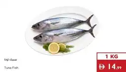 Istanbul Supermarket Tuna Fish offer
