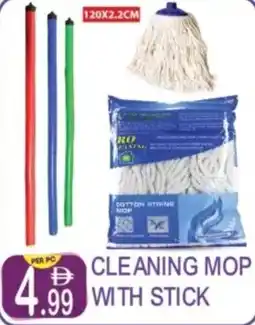 Dream Land Center Cleaning mop with stick offer