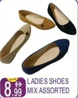 Dream Land Center Ladies shoes mix offer