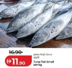 Lulu Hypermarket Tuna Fish Small offer