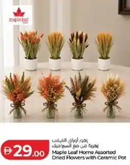 Lulu Hypermarket Maple Leaf Home Assorted Dried Flowers with Ceramic Pot offer