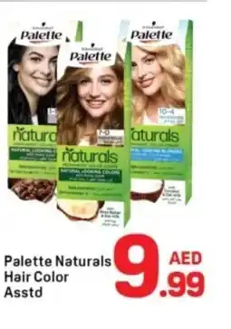 Day To Day Palette naturals hair color asstd offer