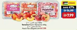 Viva Terraviva Peach/ Nectarine offer