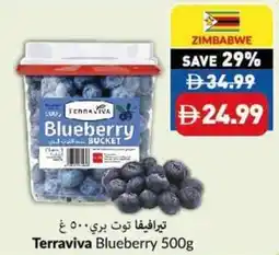 Viva Terraviva Blueberry offer
