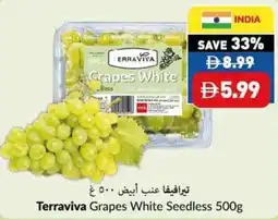Viva Terraviva Grapes White Seedless offer