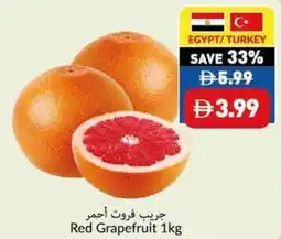 Viva Red Grapefruit offer