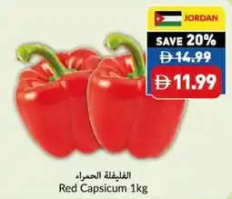 Viva Red Capsicum offer