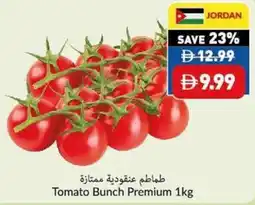 Viva Tomato Bunch Premium offer