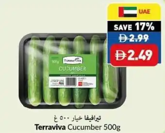 Viva Terraviva Cucumber offer
