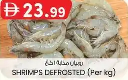 KM Trading Shrimps defrosted offer